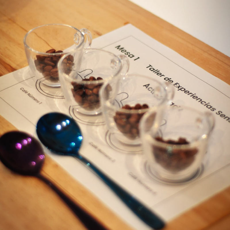 Taller Café Colombiano