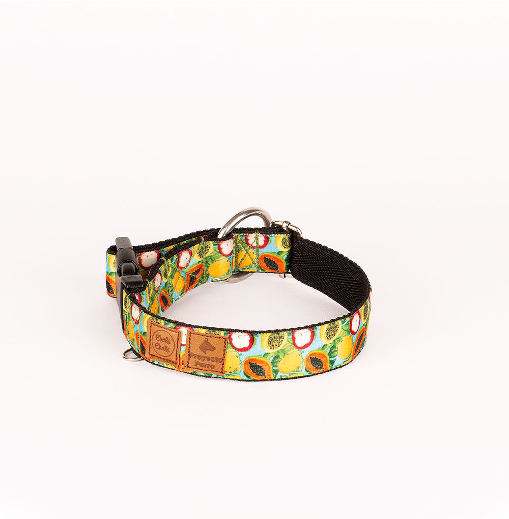 Collar para Perros de Frutas - Chaló Chaló