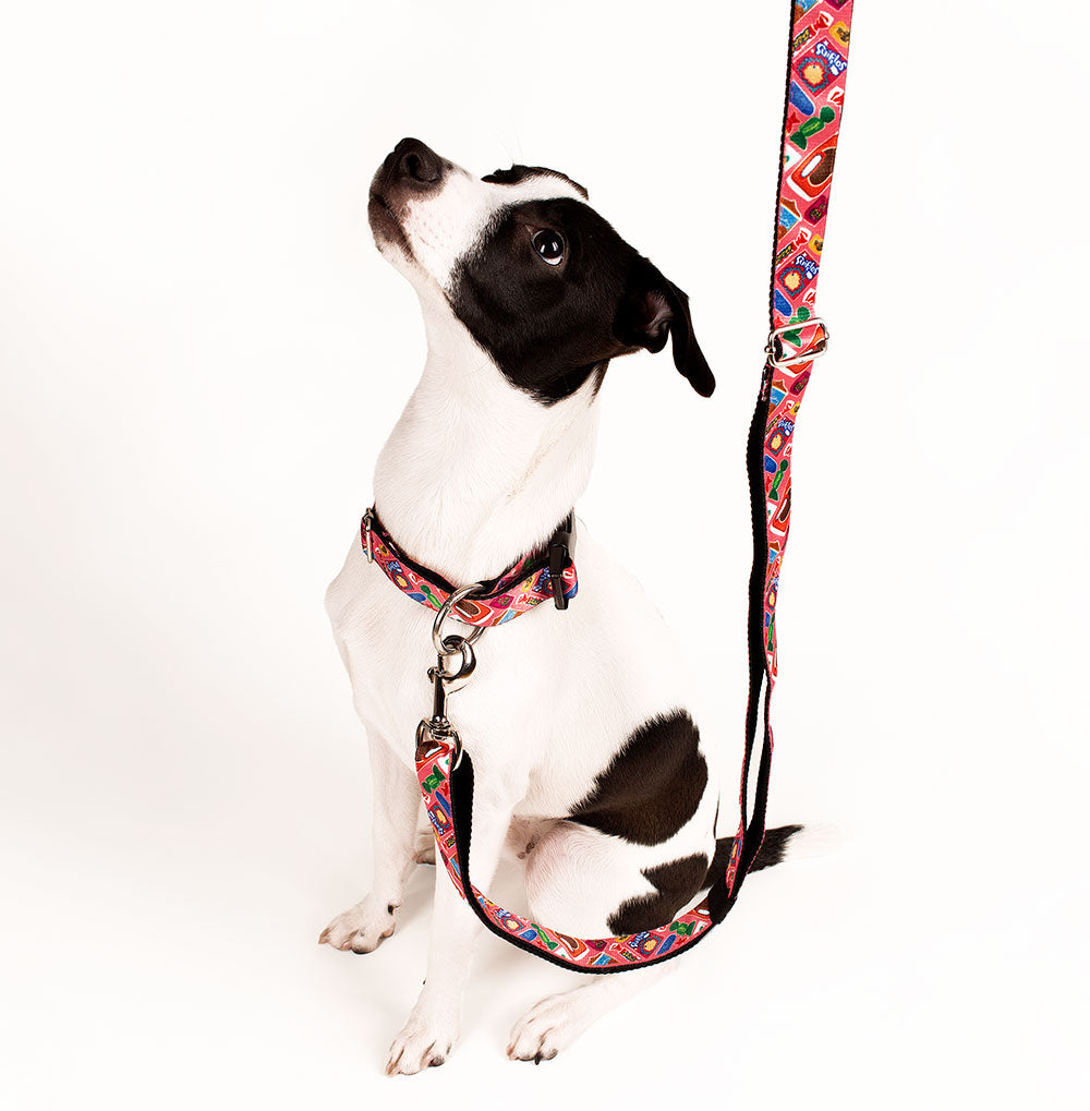 Perro con Collar y Correa de Dulesitos Rosado - Chaló Chaló